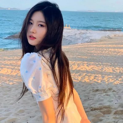 小查与寇弟的顶级冒险